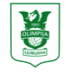 Team logo